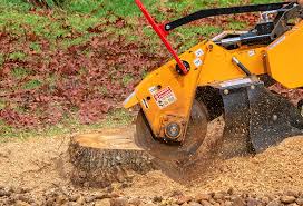 Best Firewood Processing and Delivery  in Redwood Valley, CA