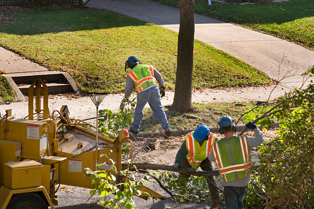 Best Weed Control  in Redwood Valley, CA