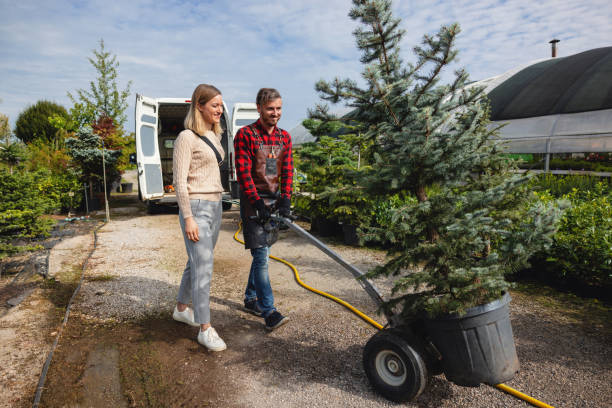 Best Hedge Trimming  in Redwood Valley, CA