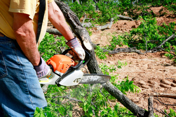 Best Soil Testing and Treatment  in Redwood Valley, CA
